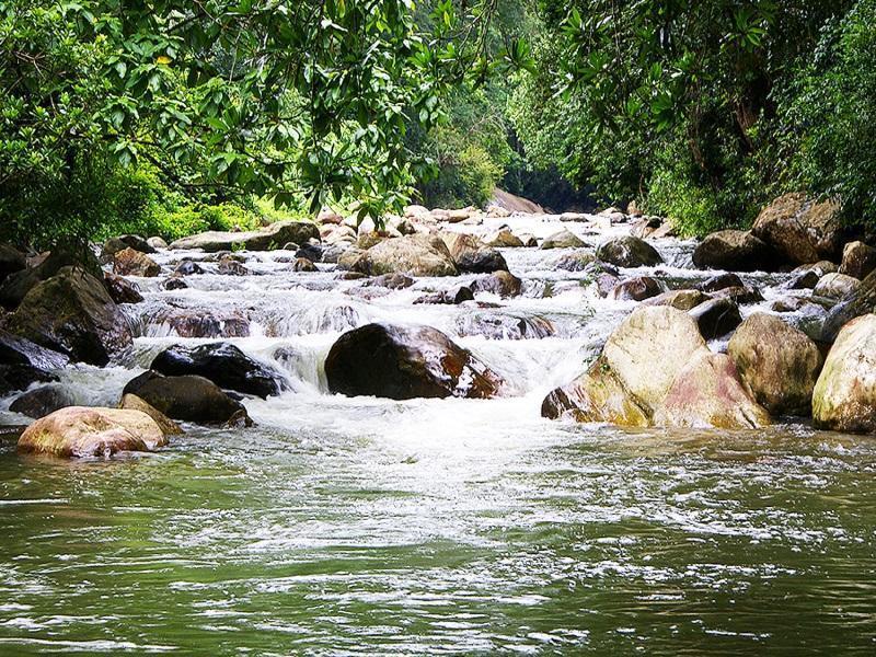 Peter'S Coffee Creek Nature Resort Meppadi Экстерьер фото