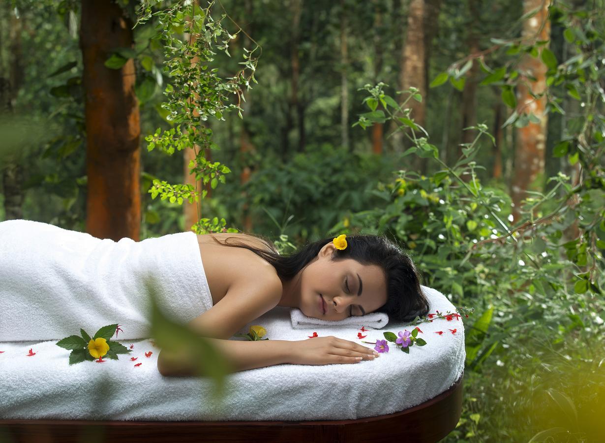 Peter'S Coffee Creek Nature Resort Meppadi Экстерьер фото